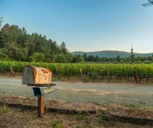 bottom-3-blog-wine-country-real-estate